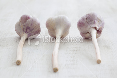 Russian Garlic #1 © Ghyslain Heurtel