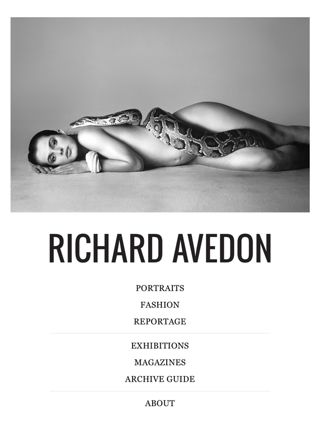 Avedon iPad App